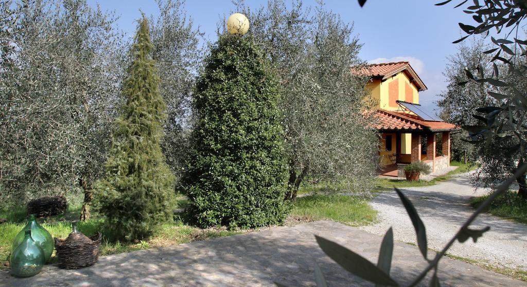 La Locanda Cuccuini Cavriglia Exterior photo
